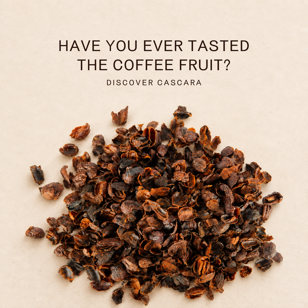 What Is Cascara? The Coffee Fruit Kerala Throws Away (And How to Brew It)