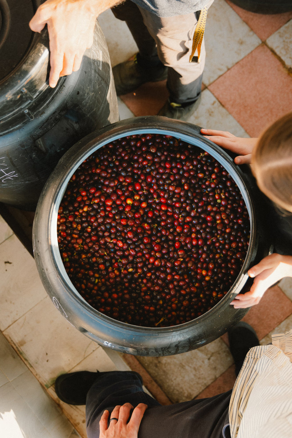 Kerehaklu Mossto Washed Arabica