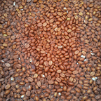 Nagaland Rice Yeast Natural (Tsiese Coffee Farm)