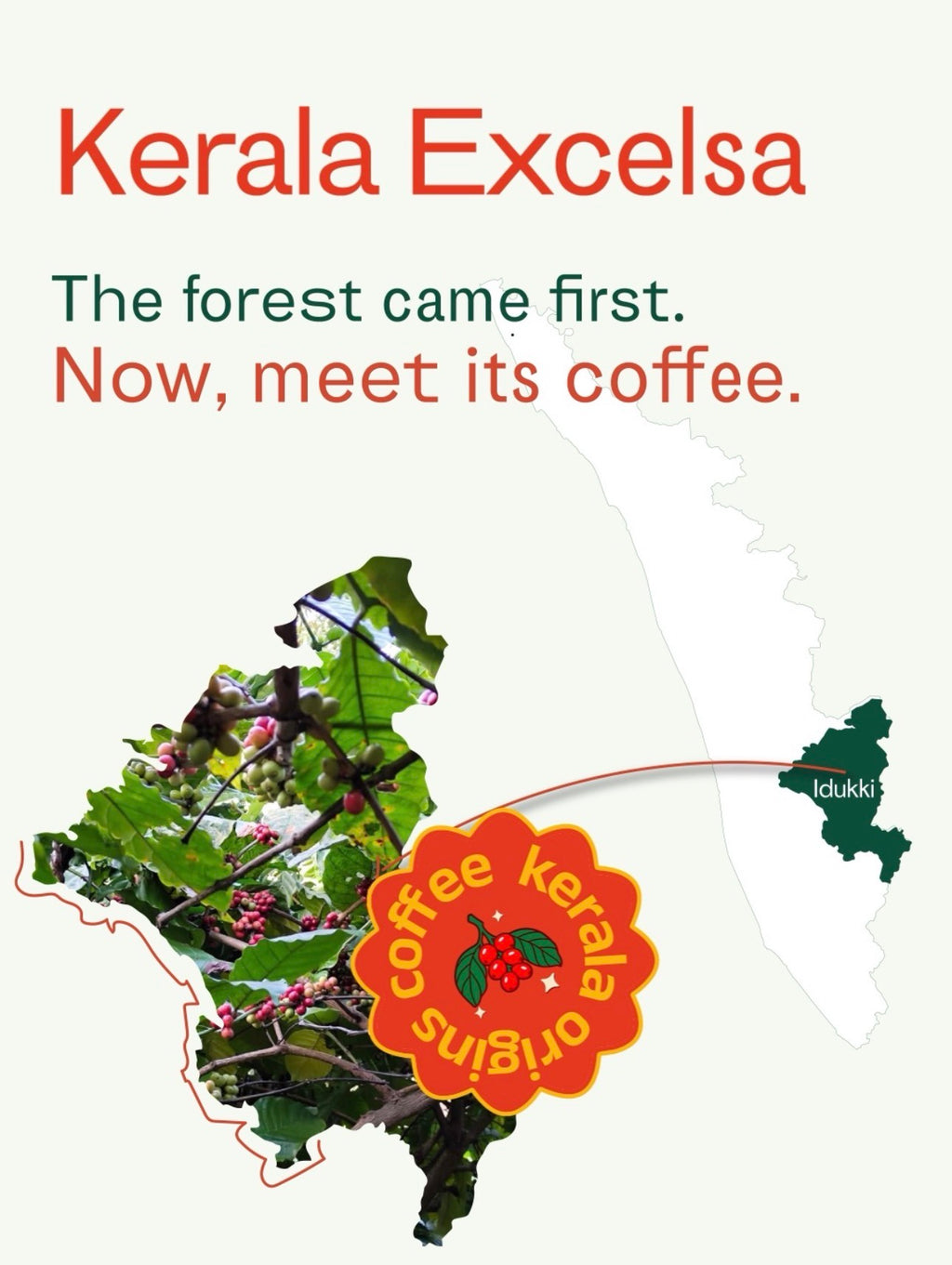 Terravagamon Excelsa Anoxic Naturals (Kerala Excelsa)