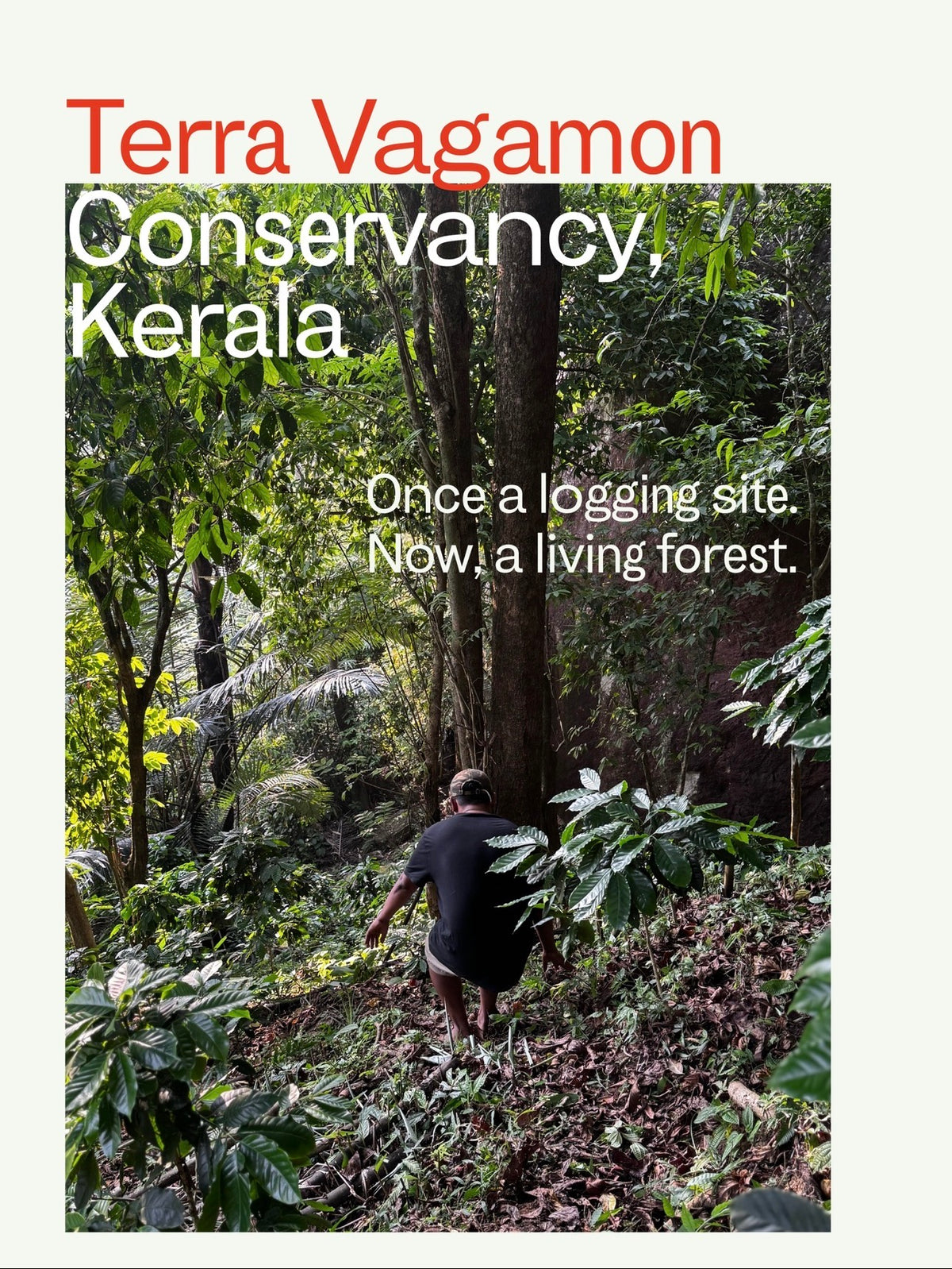 Terravagamon Excelsa Anoxic Naturals (Kerala Excelsa)