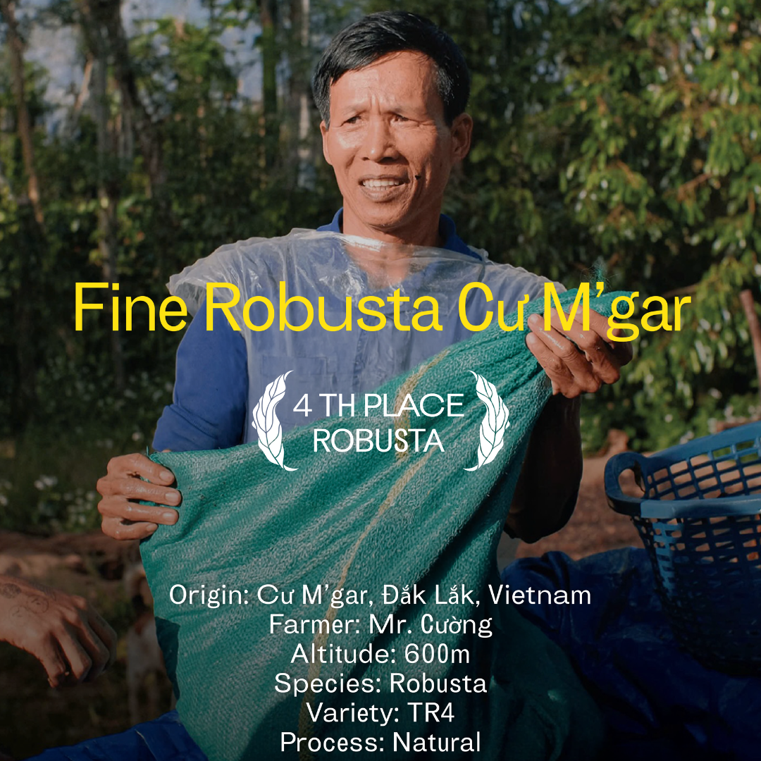 Fine Robusta – Cư M’Gar, Vietnam | Natural Process