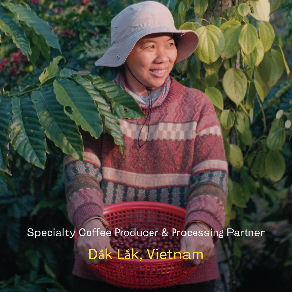 Fine Robusta – Cư M’Gar, Vietnam | Natural Process