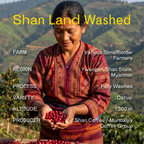 Myanmar Shan Land washed coffee from Ywangan Shan State – detail